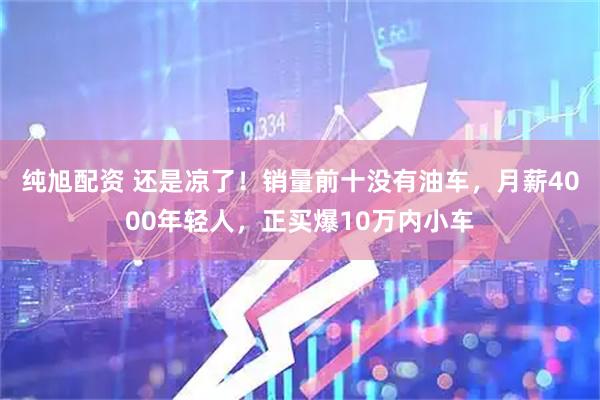纯旭配资 还是凉了！销量前十没有油车，月薪4000年轻人，正买爆10万内小车