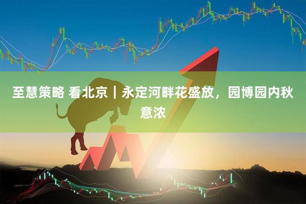 至慧策略 看北京|永定河畔花盛放,园博园内秋意浓
